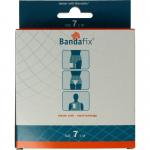 Nr 7 Borst-rug-dijbeen-onderlichaam-heup