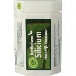 Silicium