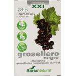Soria Ribes nigrum 23-S XXI...