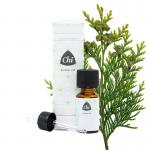 CHI Thuja wild 10ml