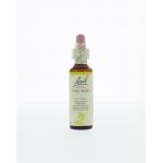 Wild rose / hondsroos