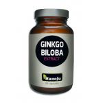 Hanoju Ginkgo biloba...