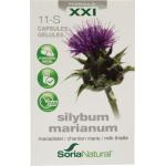 Soria Sylibum marianum XXI...