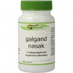 Galgand nasak