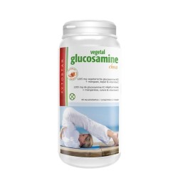 Fytostar Glucosamine chew...