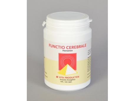 Functio cerebrale