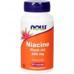 NOW Flush-Free Niacin 250mg