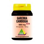 SNP Garcinia cambogia 500 mg puur 30cap