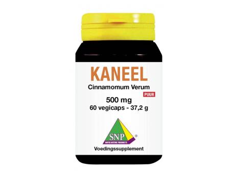 SNP Kaneel 500 mg 60cap