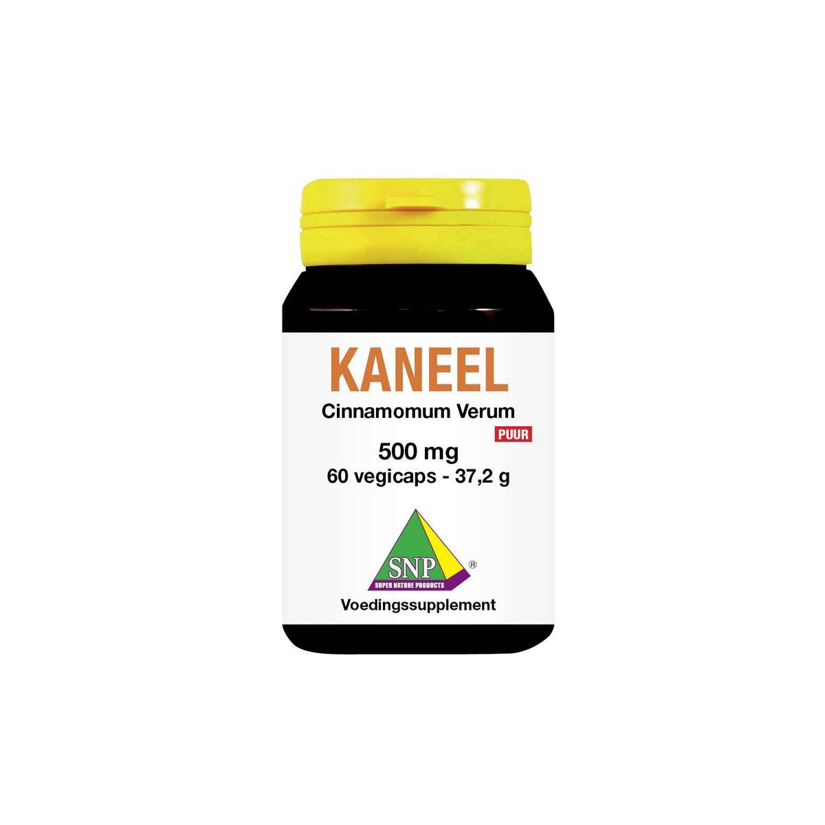 SNP Kaneel 500 mg 60cap