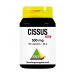 cissus 500mg