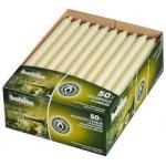 Bolsius tafelkaars 290/22 ivo