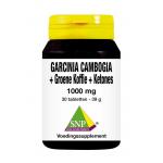 SNP Garcinia + Groene...