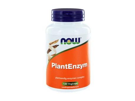 Plant enzymes