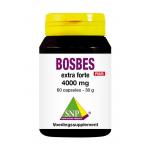 bosbes extra forte 4000mg puur