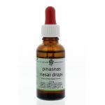 Surya Pinasnas Nasal drops...