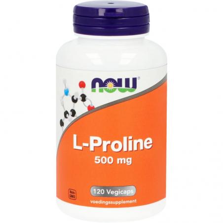 NOW L-Proline 500mg 120vc