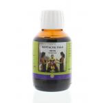 Holisan Kottachu taila 100ml