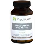 glucosamine pro active