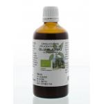 Olea europaea folia / olijfblad tinctuur