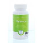 Melaleuca