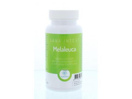 Melaleuca