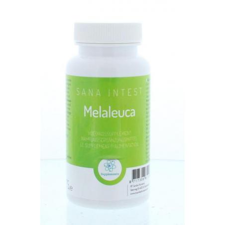 Melaleuca