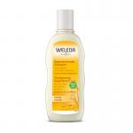 Haver herstellende shampoo