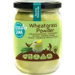 Raw tarwegras poeder in glas