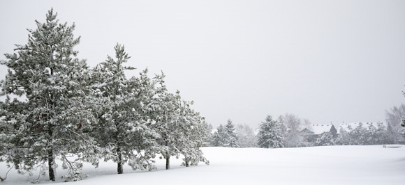 vitamine D in de winter