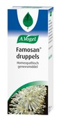 avogel famosan drops 100ml